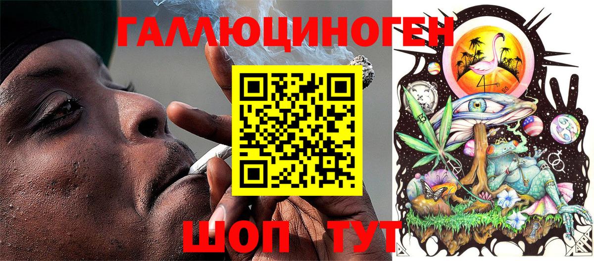 Псилоцибиновые грибы Cubensis Вольск